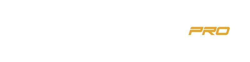 Media Director Pro